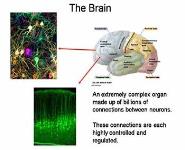 Anticonvulsants PowerPoint Presentation