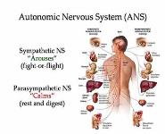Psychology PowerPoint Presentation