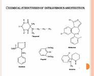 General Anesthetics PowerPoint Presentation