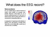 Basis of the EEG-MEG signal
