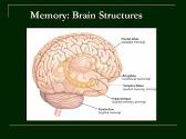 False beliefs about memory