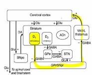 Drugs for Parkinsons disease PowerPoint Presentation