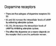 Dopamine PowerPoint Presentation
