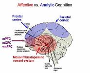 Neuroeconomics and the multiple systems hypothesis PowerPoint Presentation