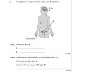 Coordination and Control PowerPoint Presentation