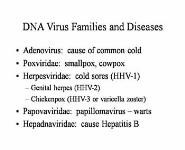 Virology PowerPoint Presentation