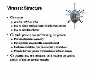 INTRODUCTION TO MEDICAL VIROLOGY PowerPoint Presentation