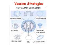 IMMUNITY and PRINCIPLES OF VACCINATION PowerPoint Presentation