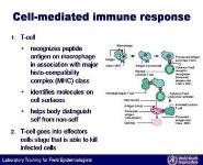 Basic immunology PowerPoint Presentation