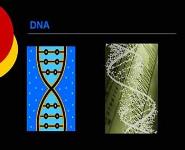 The History and Scope of Microbiology PowerPoint Presentation