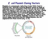 Molecular Genetic Techniques PowerPoint Presentation
