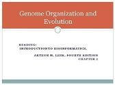 Genome Organization and Evolution
