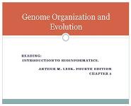 Genome Organization and Evolution PowerPoint Presentation