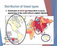 Evolution of Populations PowerPoint Presentation