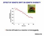 MIGRATION PowerPoint Presentation