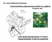 Conservation Genetics-Lessons from Population and Evolutionary Genetics PowerPoint Presentation