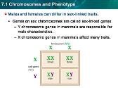 Chromosomes and Phenotype