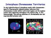 Genes Genomics and Chromosomes