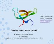 Poh PowerPoint Presentation