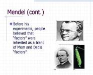 Classical Mendelian Genetics PowerPoint Presentation