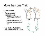Behavior Genetics PowerPoint Presentation