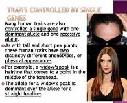 Human Inheritance PowerPoint Presentation