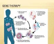 Advances in Genetics PowerPoint Presentation