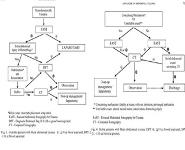 Trauma PowerPoint Presentation