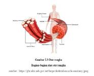 PENDAHULUAN Medical Notes