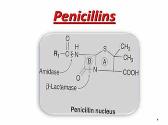 Penicillins