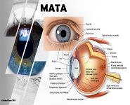 Pengaruh Gadget pada Kesehatan Mata Anak_shared PowerPoint Presentation