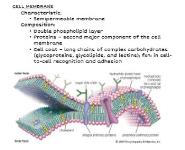 NURSING F-E CONCEPT Medical Notes