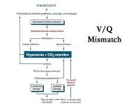 Diseases of Infancy Childhood PowerPoint Presentation Notes