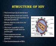 Human Immunodeficiency Virus PowerPoint Presentation