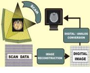 CT SCAN PowerPoint Presentation