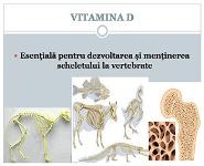 VITAMIN D AND SKIN PowerPoint Presentation