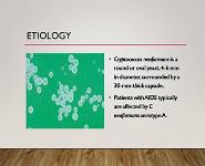 Cryptococcal Meningitis PowerPoint Presentation