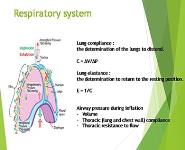 Pressure-Volume Curves of Respiratory System PowerPoint Presentation