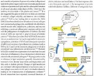 Diabetes and Periodontitis Medical Notes