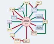 OncomiR or Tumor Suppressor-The Duplicity of MicroRNAs in Cancer Medical Notes