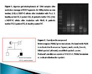 EAN 2015 PowerPoint Presentation