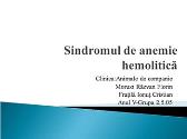 Sindromul de anemie hemolitica