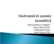 Sindromul de anemie hemolitica PowerPoint Presentation Notes