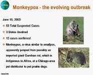 Monkeypox Outbreak in the US PowerPoint Presentation
