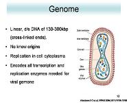 Poxviridae PowerPoint Presentation