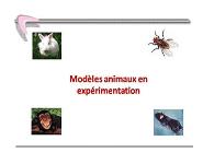 Animal Models in Experimentation PowerPoint Presentation
