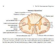 The Neurologic Diagnosis Medical Notes