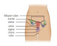 Birth Control Methods Medical Notes