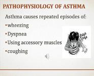 Asthma PowerPoint Presentation