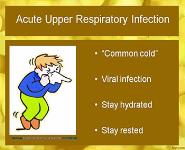 Using Antibiotics PowerPoint Presentation